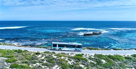 flights from hillarys|Flights to Rottnest Island .